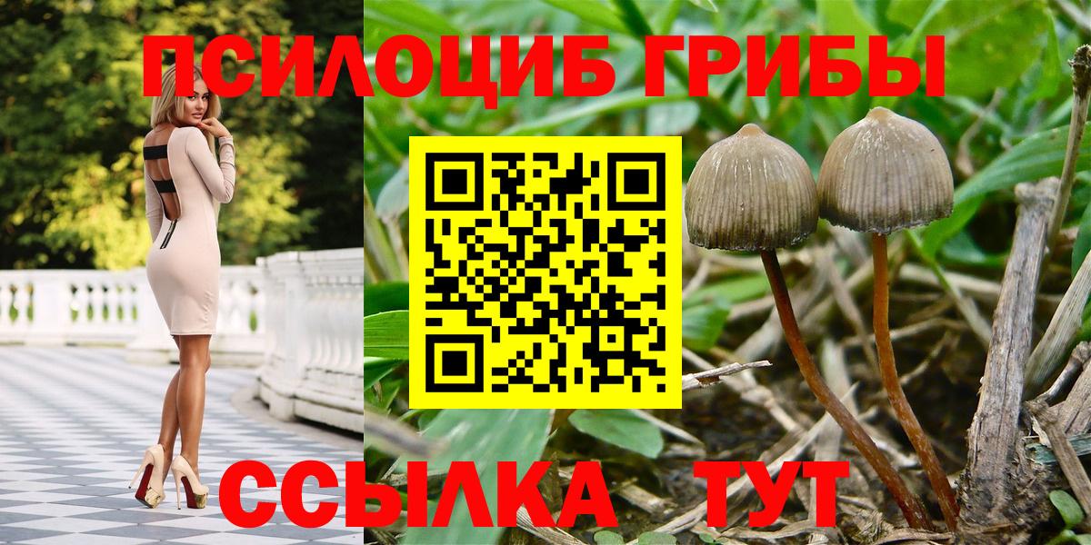 Галлюциногенные грибы Psilocybine cubensis  Вход с VPN  Назарово 